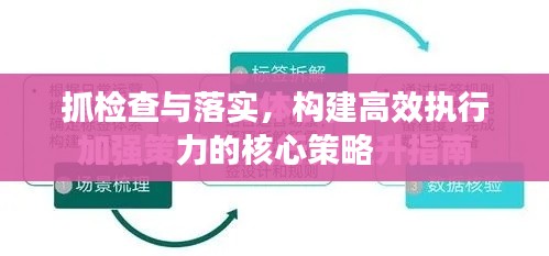 抓检查与落实,构建高效执行力的核心策略