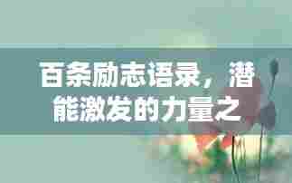 百条励志语录，潜能激发的力量之源