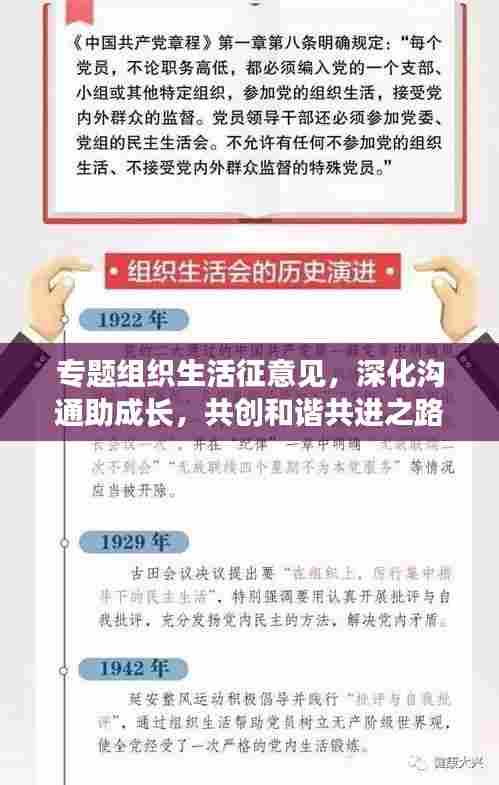 专题组织生活征意见,深化沟通助成长,共创和谐共进之路