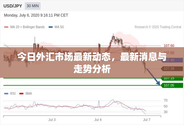 今日外汇市场最新动态，最新消息与走势分析