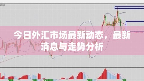 今日外汇市场最新动态,最新消息与走势分析