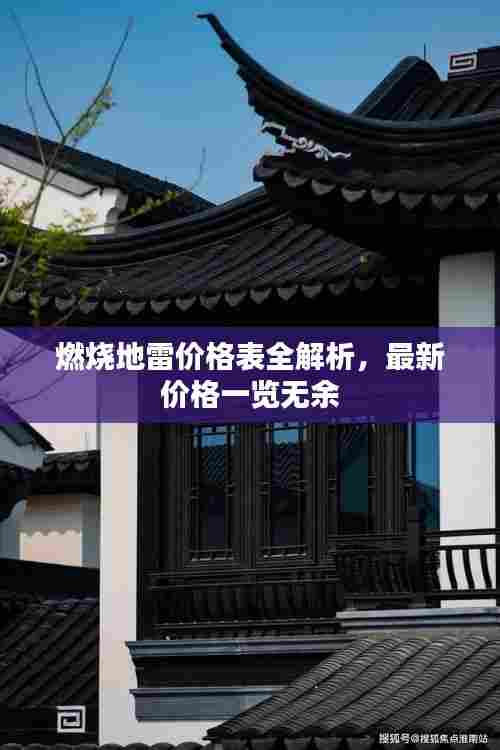 燃烧地雷价格表全解析，最新价格一览无余