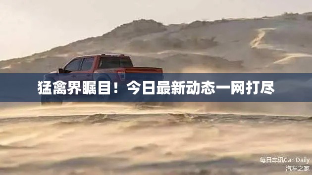 猛禽界瞩目!今日最新动态一网打尽