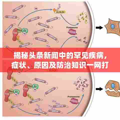 粗枝大叶 第5页