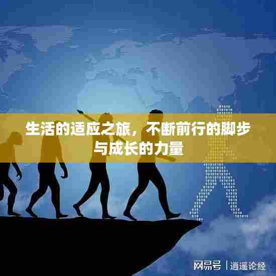 生活的适应之旅，不断前行的脚步与成长的力量