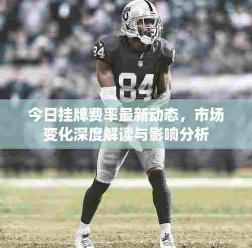 今日挂牌费率最新动态,市场变化深度解读与影响分析