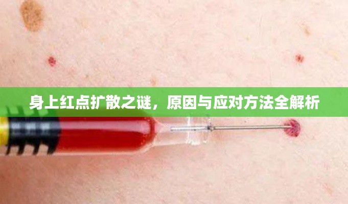 身上红点扩散之谜，原因与应对方法全解析