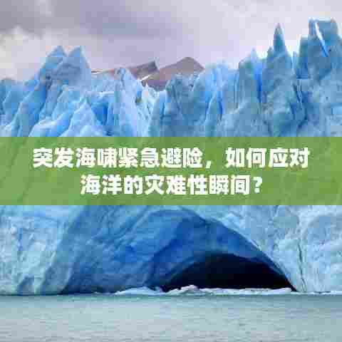 突发海啸紧急避险，如何应对海洋的灾难性瞬间？