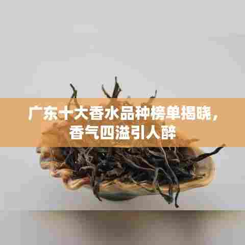 广东十大香水品种榜单揭晓,香气四溢引人醉