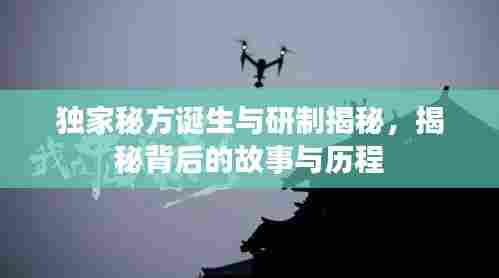独家秘方诞生与研制揭秘,揭秘背后的故事与历程