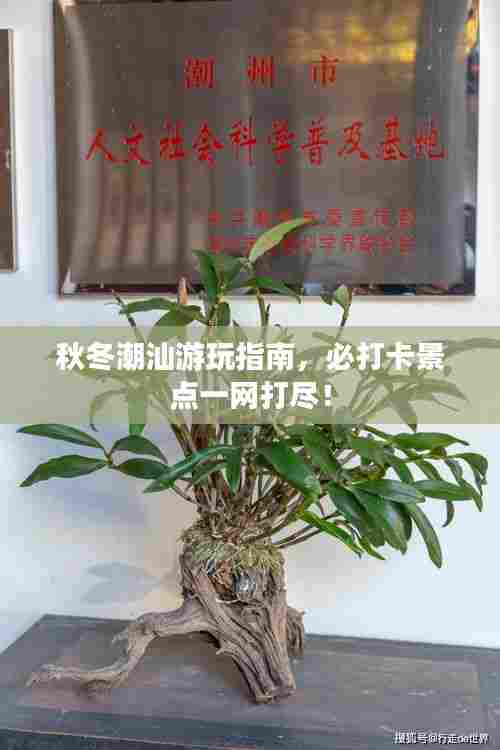 秋冬潮汕游玩指南，必打卡景点一网打尽！