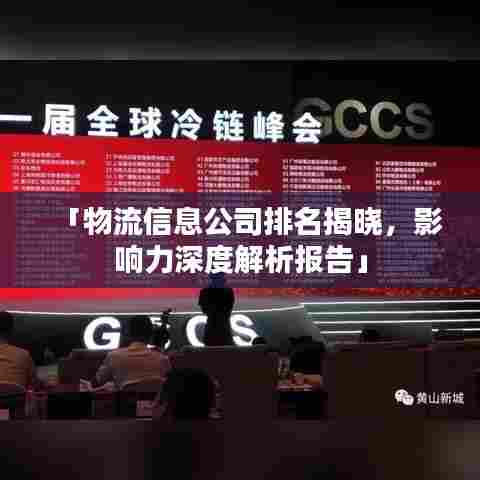 「物流信息公司排名揭晓，影响力深度解析报告」