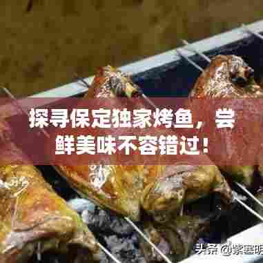 探寻保定独家烤鱼,尝鲜美味不容错过!