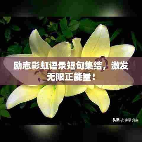 斫琱为朴 第6页