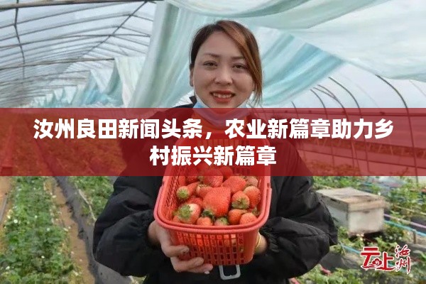 汝州良田新闻头条，农业新篇章助力乡村振兴新篇章