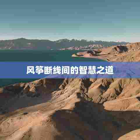 风筝断线间的智慧之道