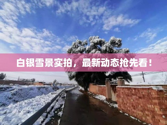 白银雪景实拍，最新动态抢先看！