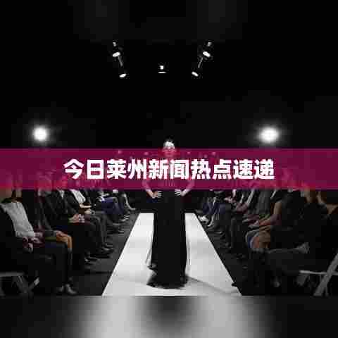 今日莱州新闻热点速递