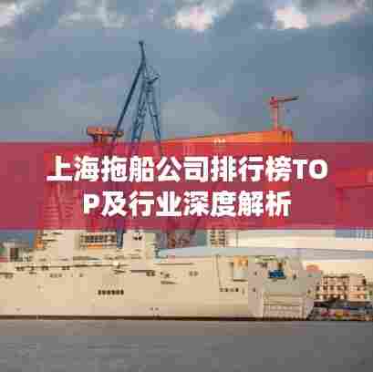 上海拖船公司排行榜TOP及行业深度解析