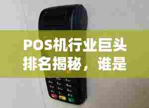 POS机行业巨头排名揭秘,谁是最大的POS机公司?