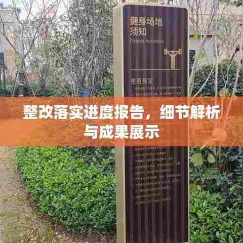 整改落实进度报告,细节解析与成果展示