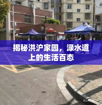 揭秘洪沪家园,渌水道上的生活百态