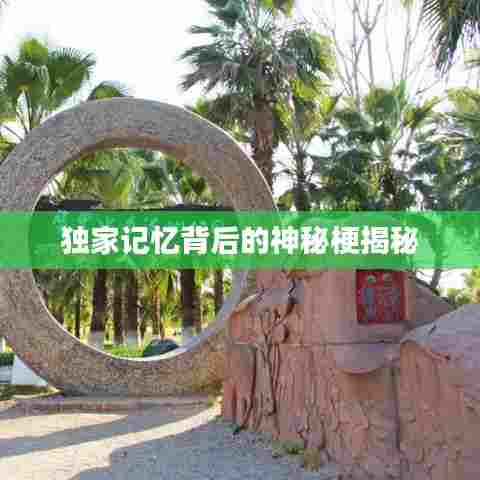 独家记忆背后的神秘梗揭秘