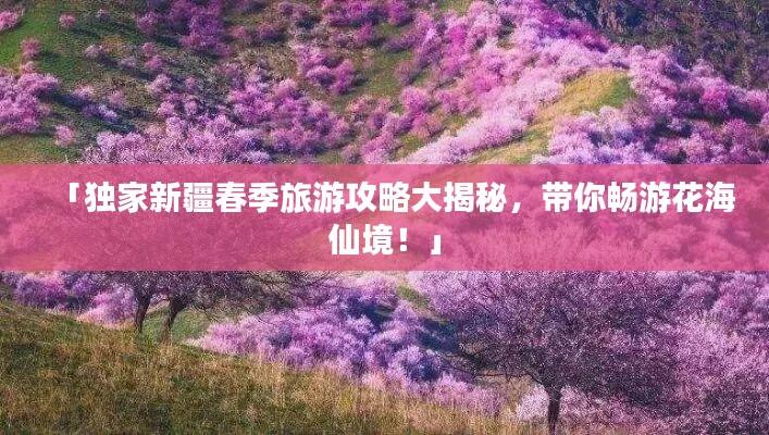 「独家新疆春季旅游攻略大揭秘，带你畅游花海仙境！」