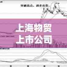 上海物贸上市公司排名揭晓，行业巨头实力与影响力大比拼