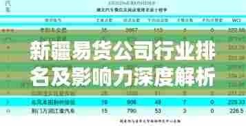 新疆易货公司行业排名及影响力深度解析