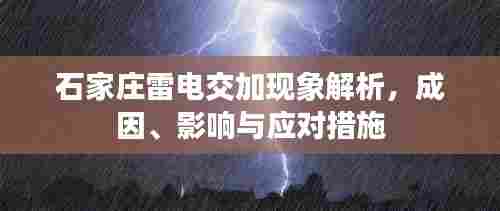 开张圣听 第6页