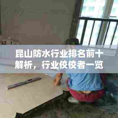 昆山防水行业排名前十解析，行业佼佼者一览无余
