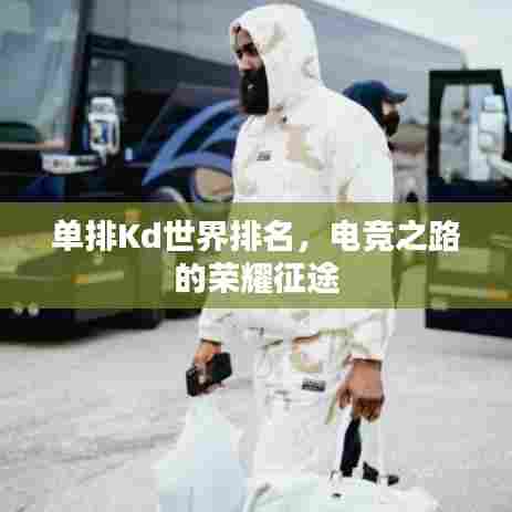 单排Kd世界排名，电竞之路的荣耀征途