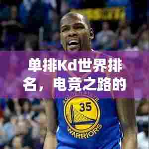 单排Kd世界排名,电竞之路的荣耀征途