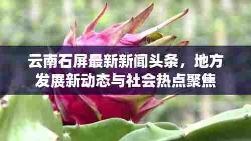 云南石屏最新新闻头条,地方发展新动态与社会热点聚焦