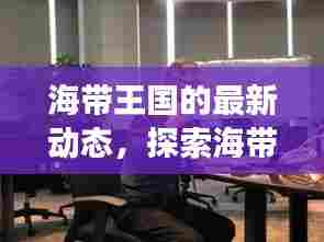 海带王国的最新动态，探索海带产业的蓬勃发展