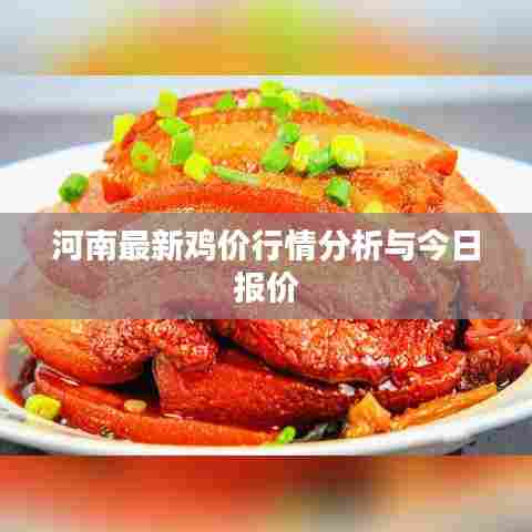 河南最新鸡价行情分析与今日报价