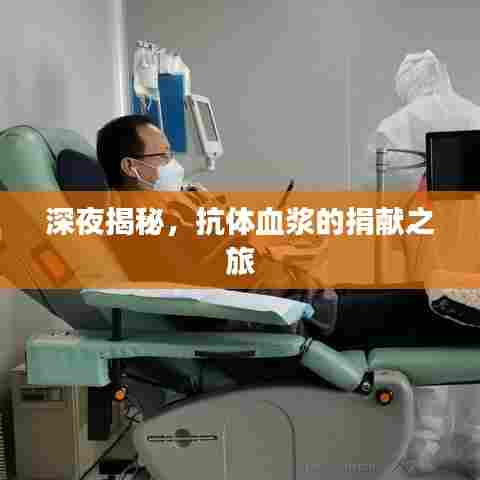 深夜揭秘,抗体血浆的捐献之旅