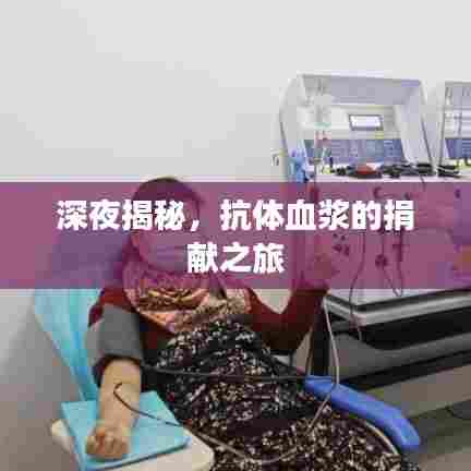 深夜揭秘,抗体血浆的捐献之旅