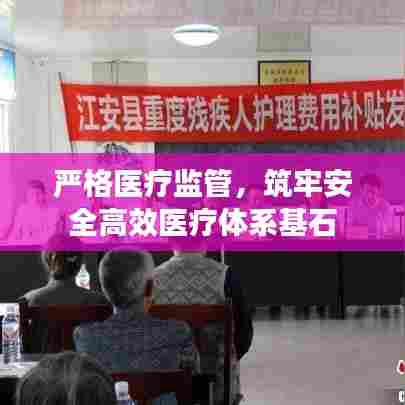 严格医疗监管，筑牢安全高效医疗体系基石