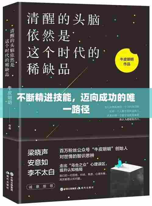 不断精进技能,迈向成功的唯一路径