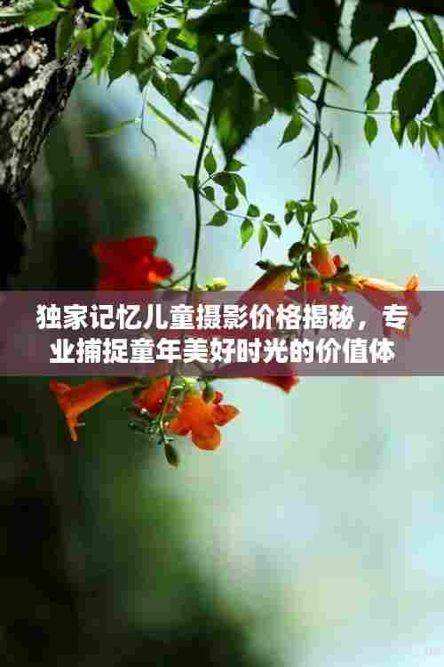 独家记忆儿童摄影价格揭秘，专业捕捉童年美好时光的价值体验