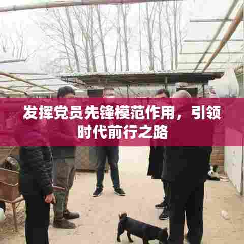 发挥党员先锋模范作用,引领时代前行之路