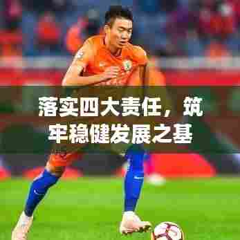 落实四大责任，筑牢稳健发展之基