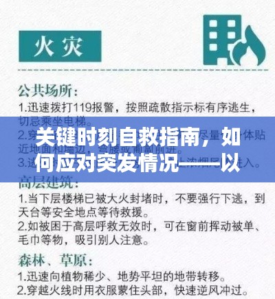 关键时刻自救指南，如何应对突发情况——以XXXX年为例