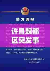 许昌魏都区突发事件处置与应对策略揭秘