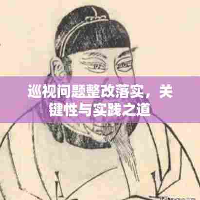 巡视问题整改落实，关键性与实践之道