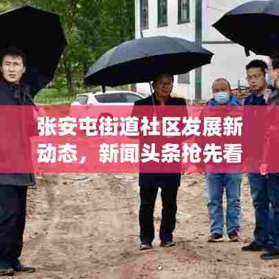 张安屯街道社区发展新动态，新闻头条抢先看