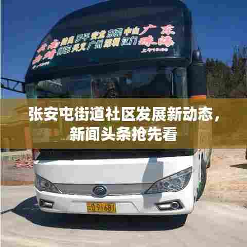 张安屯街道社区发展新动态,新闻头条抢先看