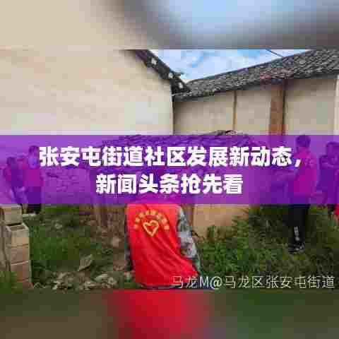 张安屯街道社区发展新动态,新闻头条抢先看